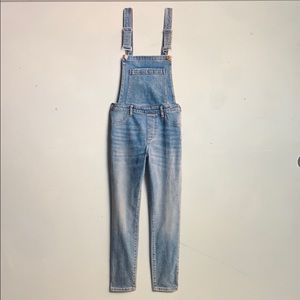 Blank NYC Thomas skinny overalls in indigo